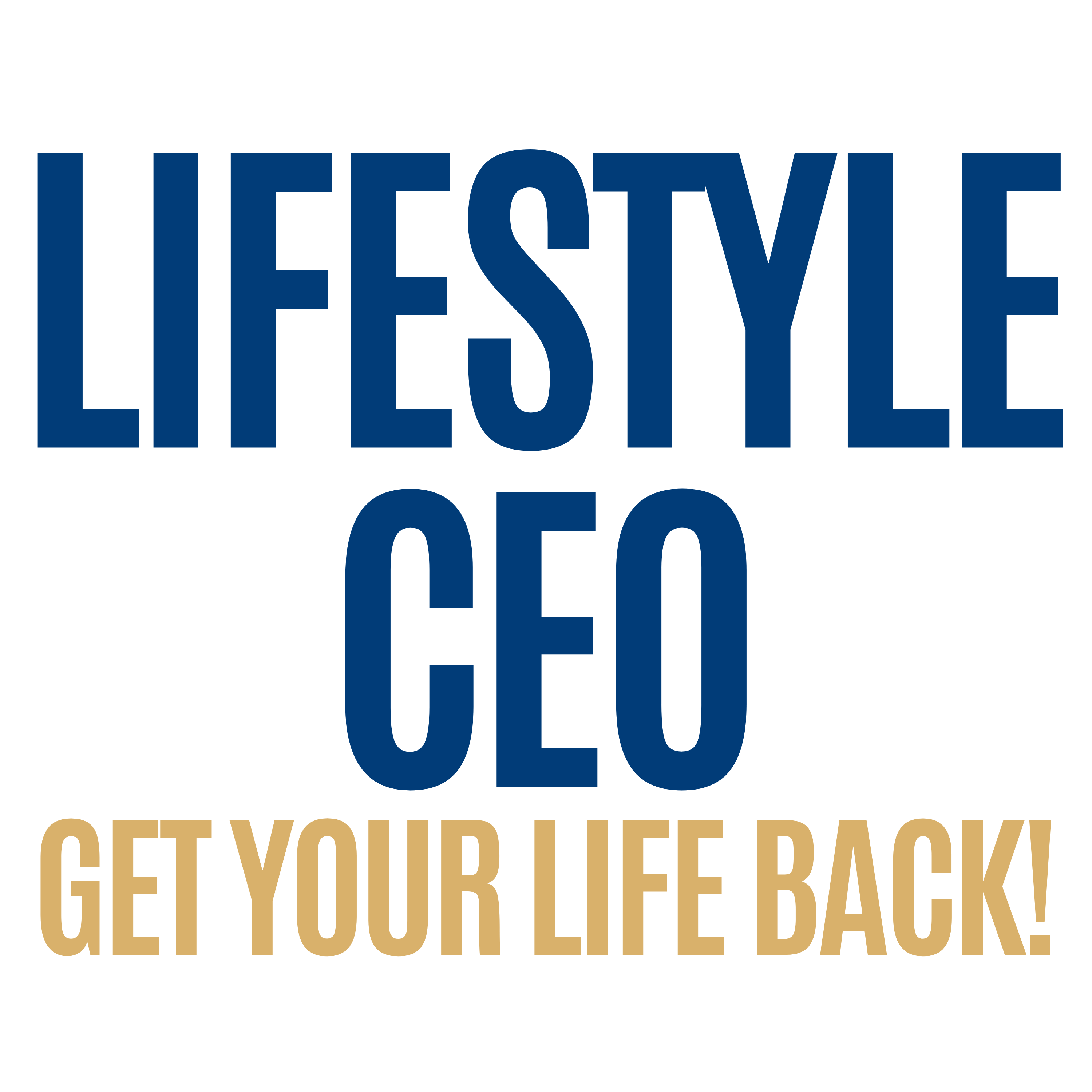 Lifestyle CEO: Get Your Life Back!